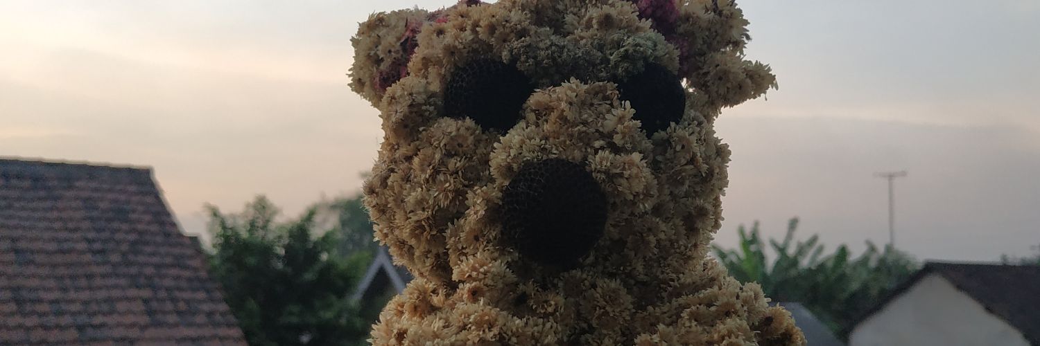 ZulvaFR's profile banner image
