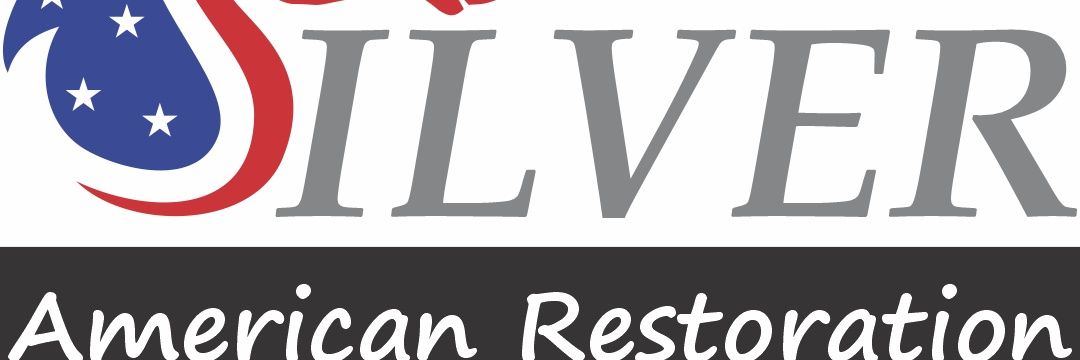 Silvermur's profile banner image