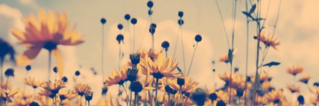 Mmccray_2's profile banner image