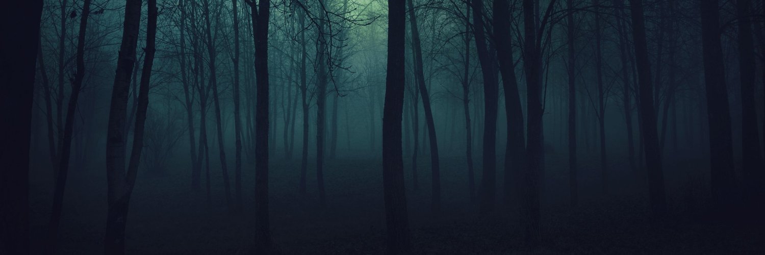DuoFerrumAnguis's profile banner image