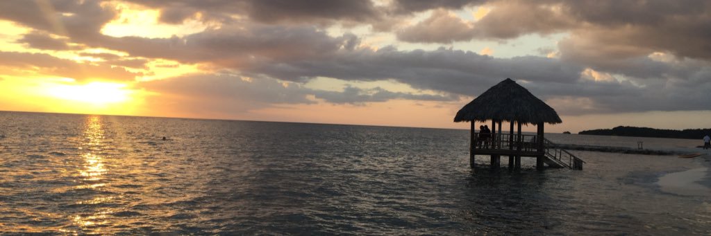 cfalldine's profile banner image