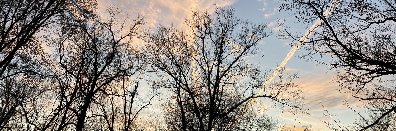 nowimdenali's profile banner image
