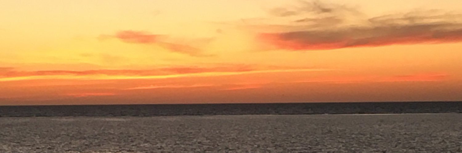 realityoptimize's profile banner image