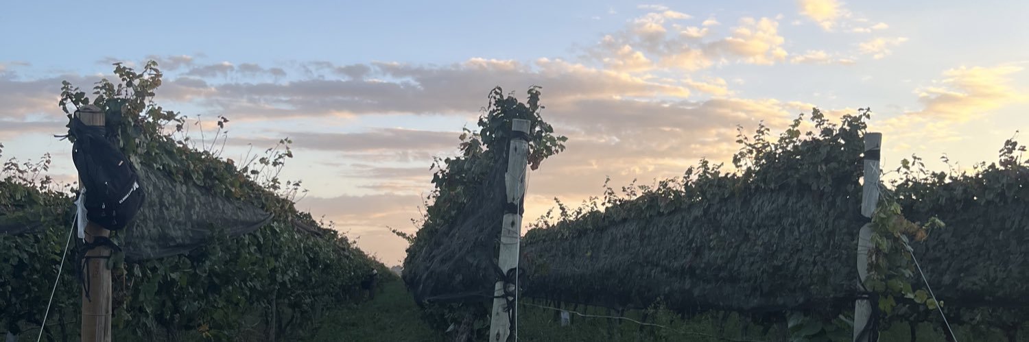 CameraRodrigo's profile banner image