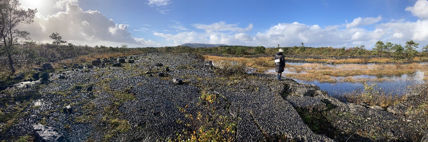 Ed Coulson @edcoulson.bsky.social banner