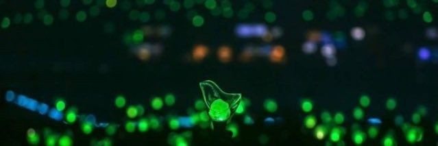 NE_v_EN's profile banner image