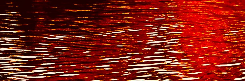 _351073_'s profile banner image