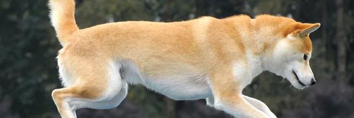 ferNoNo11's profile banner image