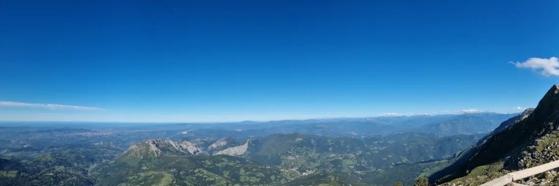 This Account May Contain Nico banner