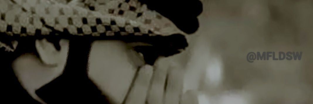 MFLDSW's profile banner image