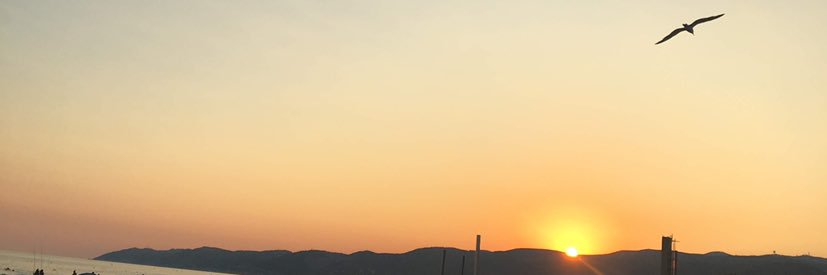 AgusGramigna's profile banner image