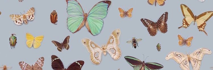 bryndipowers's profile banner image