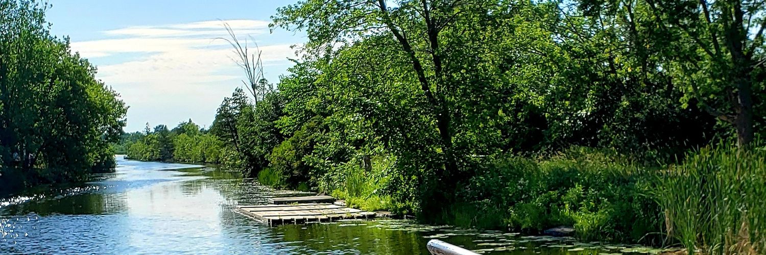 Delphine Hasle, CFRE banner