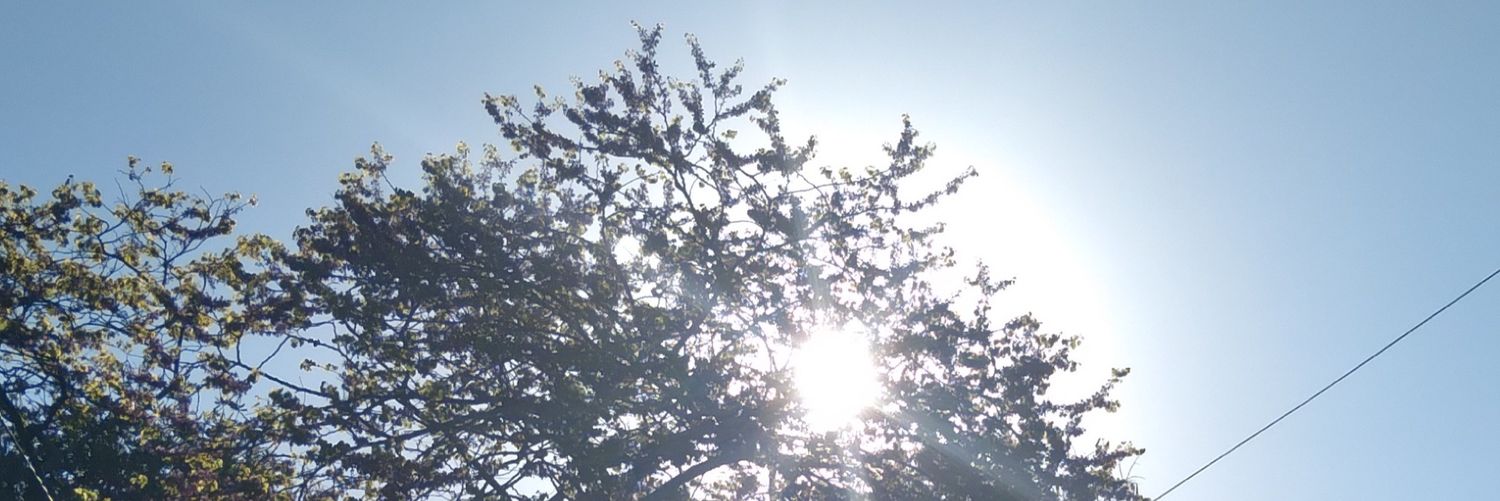 Jess 🇦🇷 banner