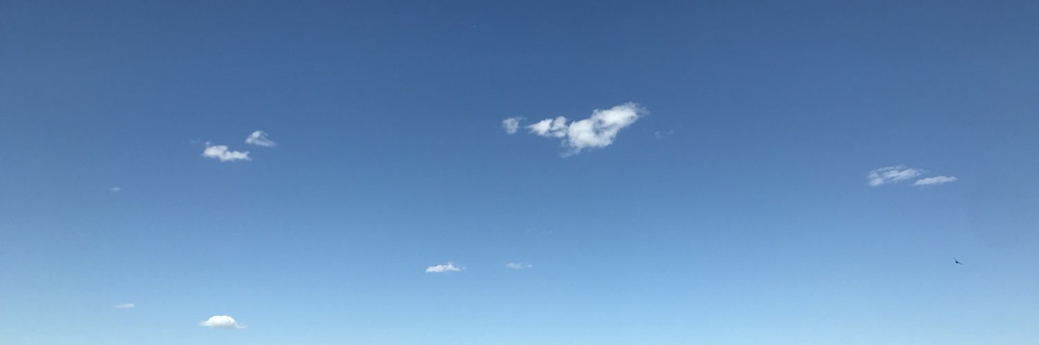 royLT_'s profile banner image