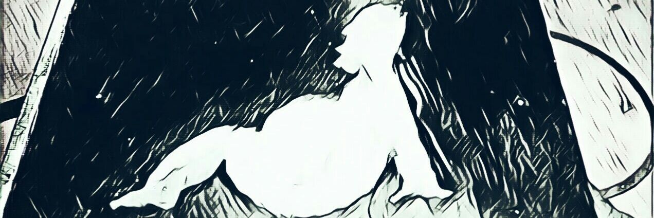 AlexisAlvarez64's profile banner image