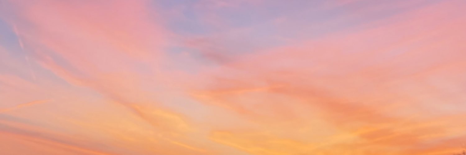 skrg2017's profile banner image