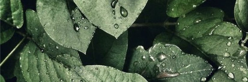 MPrenetta's profile banner image