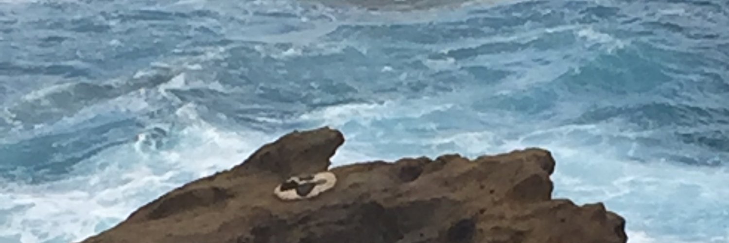 chanmania9's profile banner image