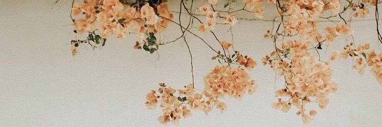 jillian_marie44's profile banner image