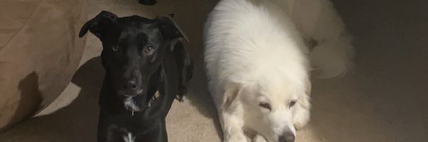 timjamesdillon Profile Banner