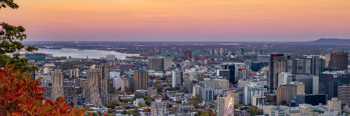 Ericka Alneus banner