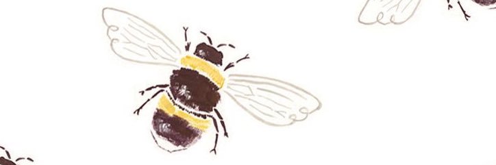 baleiba's profile banner image