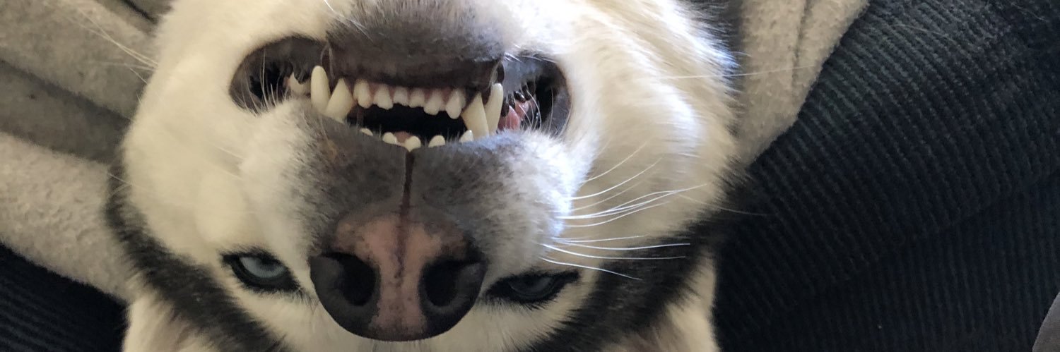 JZdrojewski's profile banner image
