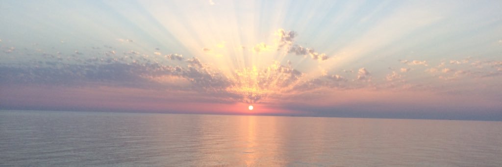 GregMilne1996's profile banner image