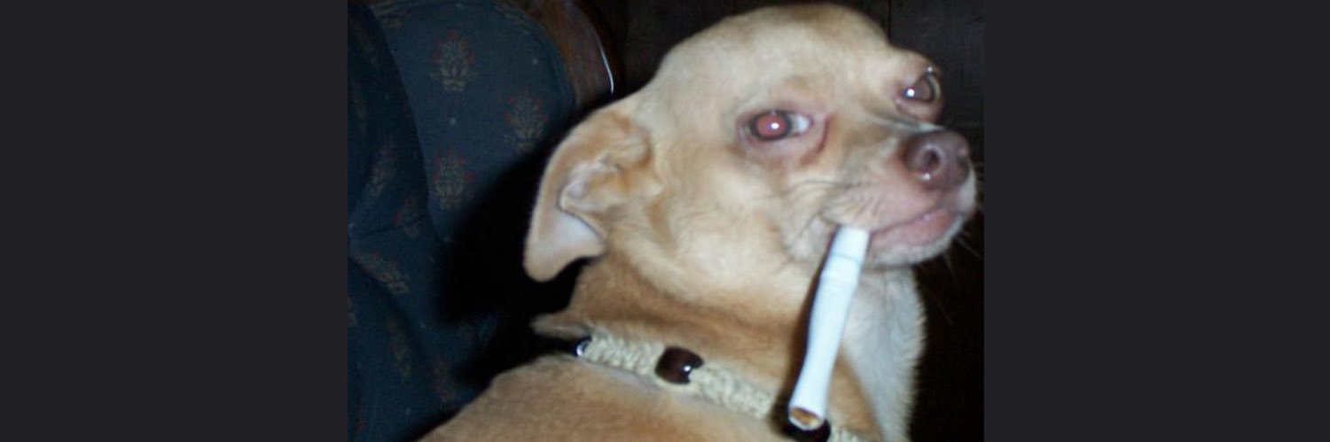 HypeMan_Ty's profile banner image