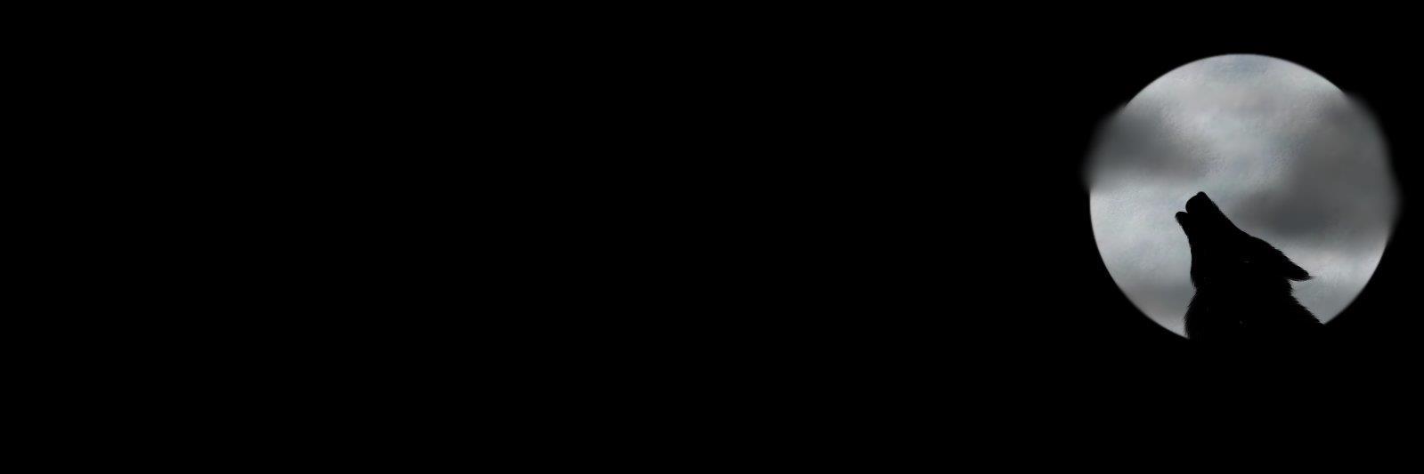 blackwolf6905's profile banner image