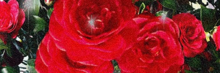 jayyyyfo's profile banner image