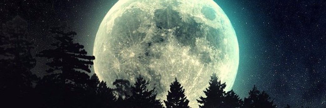 19BostonXX's profile banner image