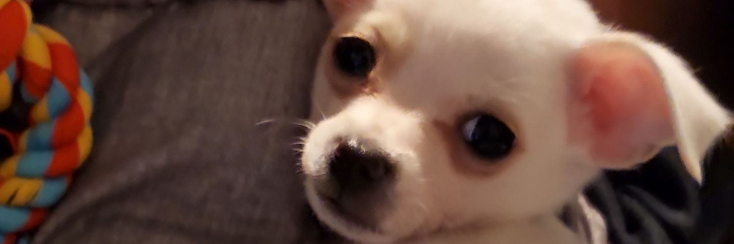 HungryAmbitions's profile banner image