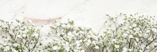 KatelynRaye14's profile banner image