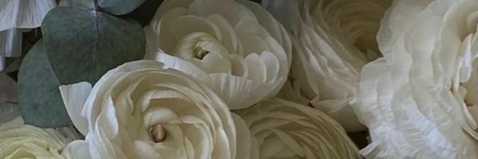 BriTamayo's profile banner image