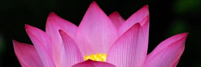 M banner