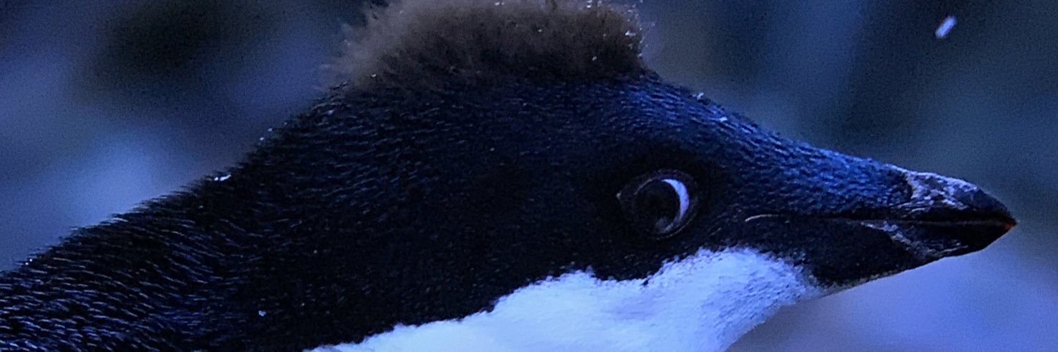 BraidenT_16's profile banner image