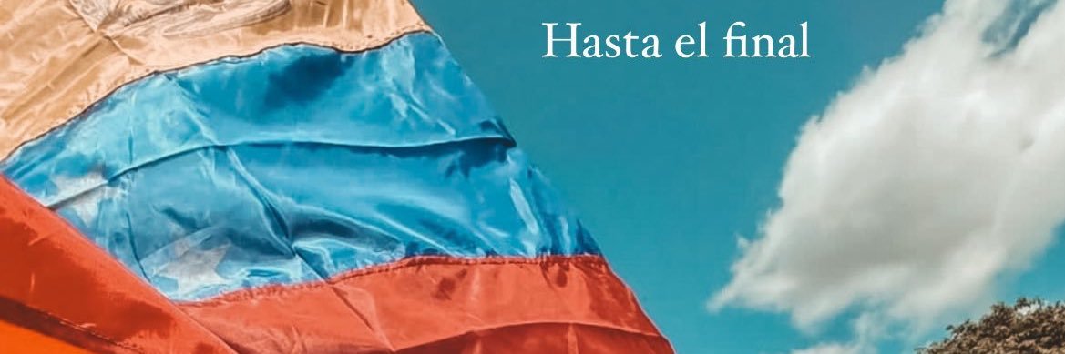 Opinionologo Profesional banner