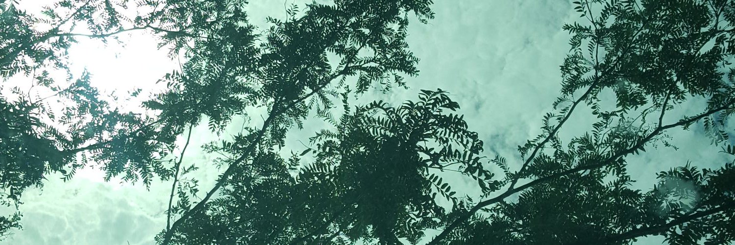 PickrelAnn's profile banner image