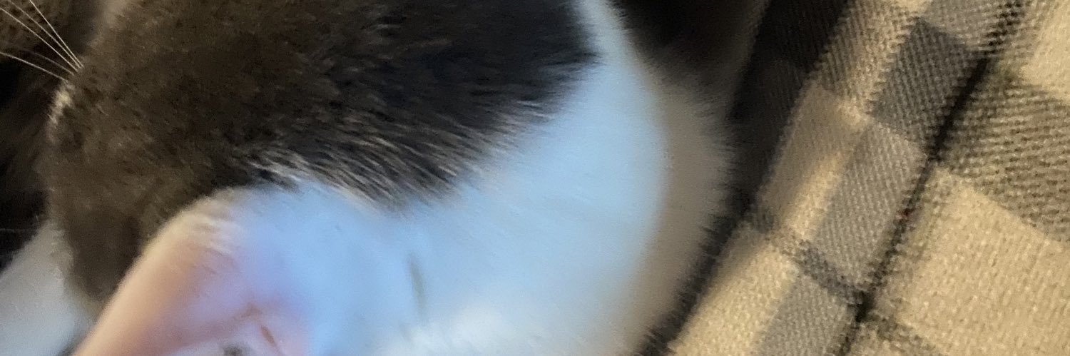 vkonesky's profile banner image