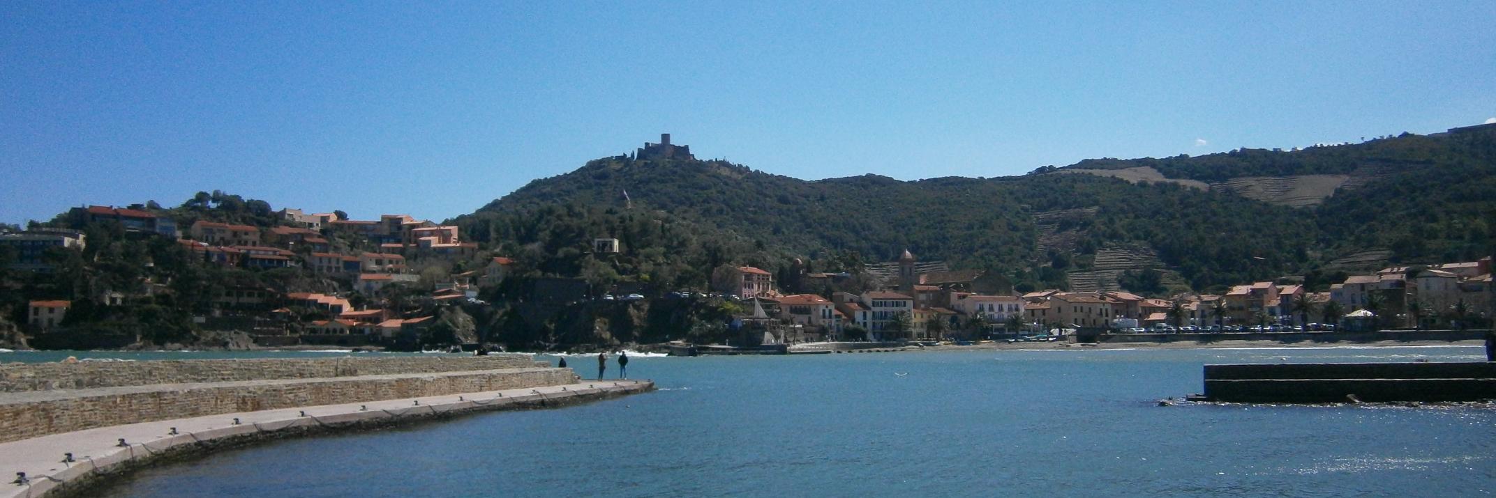 César Peña (Todo al Pauper) banner