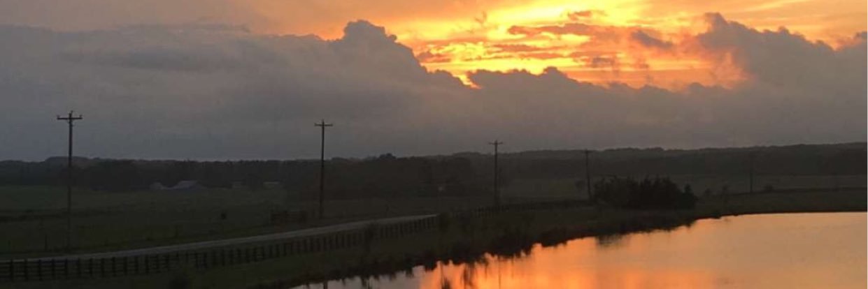 mal_mason's profile banner image