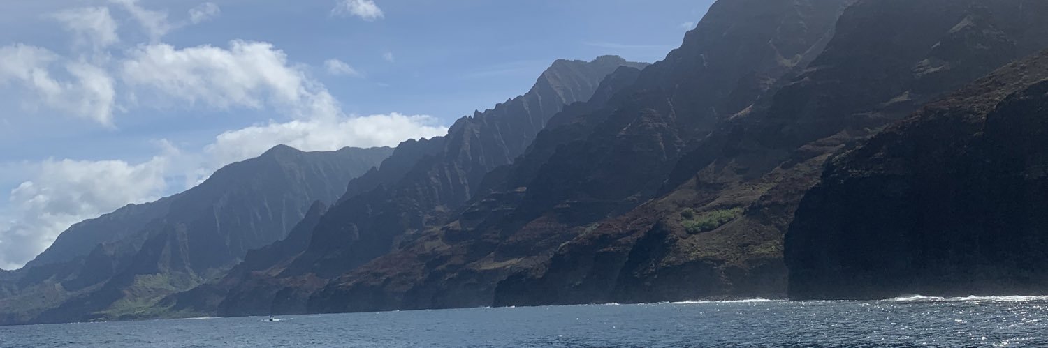 dom_schooler's profile banner image