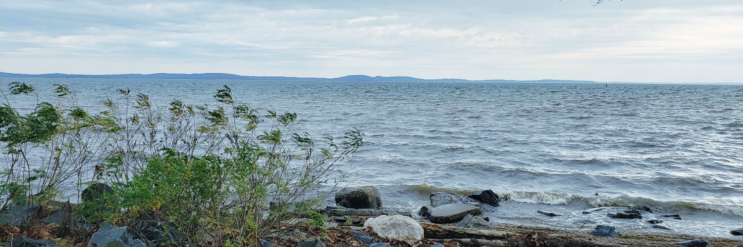 aj_ranney's profile banner image