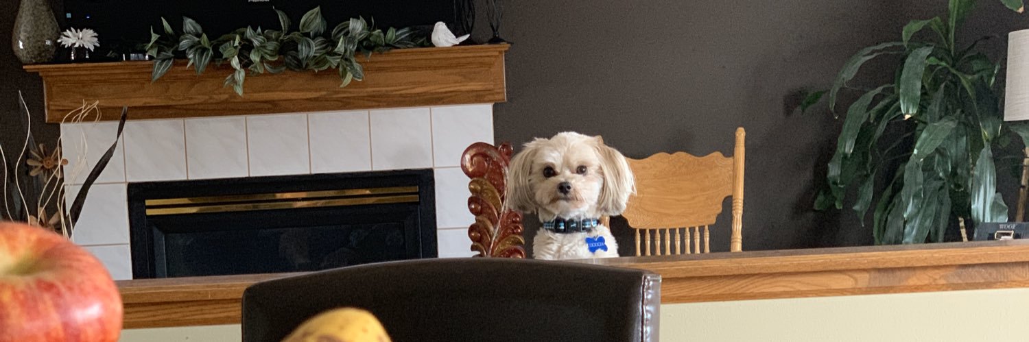 EvanSmith91's profile banner image