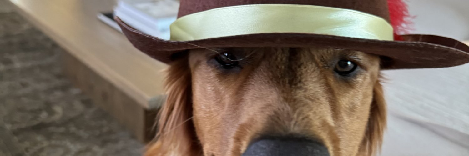 DrakeTaylor3's profile banner image