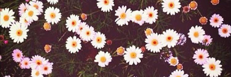 k3llzb's profile banner image