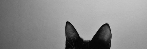 _4daena Profile Banner