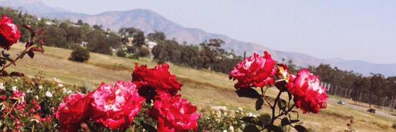 VctrClvngr's profile banner image